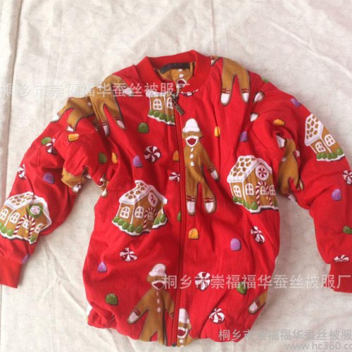 供应儿童 蚕丝棉衣 宝宝蚕丝棉袄 棉衣棉服 2013冬新款开衫拉链图1