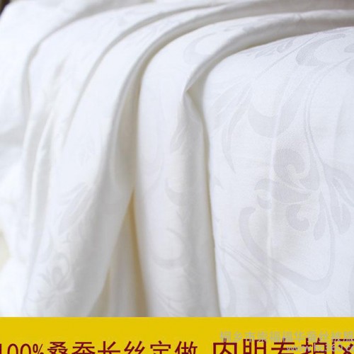 桐乡蚕丝被厂家批发 手工定做子母被 100%桑蚕丝夏凉被 被套专拍图2