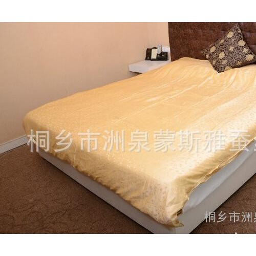 h直销  高质量  蚕丝被  质量保证 价格实惠