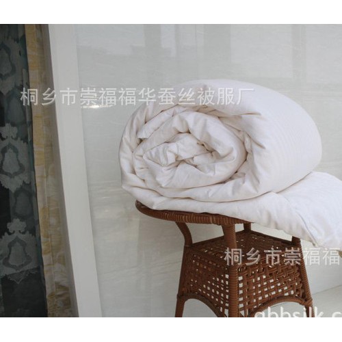 供应桐乡蚕丝被厂家 100桑蚕丝二合一子母被 净1+3斤夏凉被春秋被批发图3