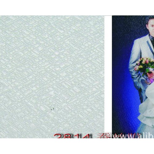 直销相之宝/护之宝系列冷裱保护膜～蚕丝膜#2814图2