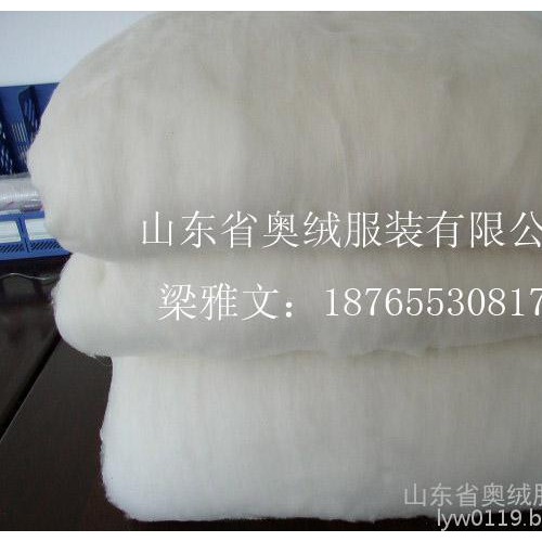 蚕丝棉  夏被填充棉 蚕丝絮片图1