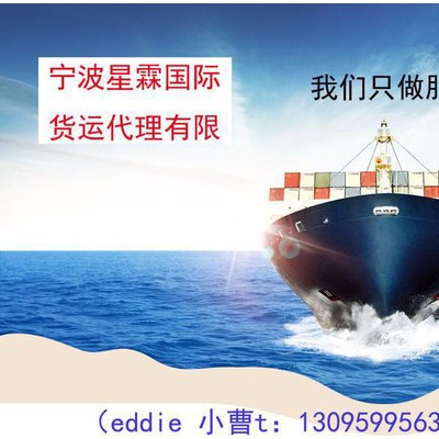 供应男士衬衫R8808出口美国LDP--宁波星霖