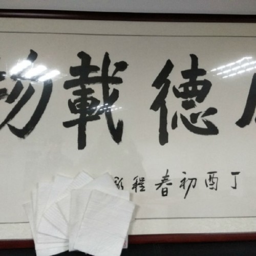 涤纶短纤300g无纺布厂家集锦图6