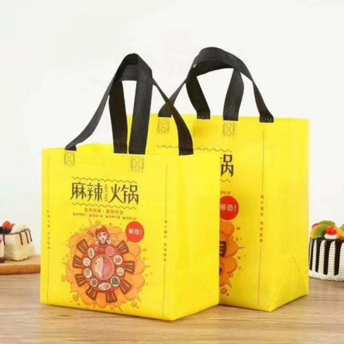环保立体袋定制 无纺布外卖袋 无纺布包装袋 生产厂家图2
