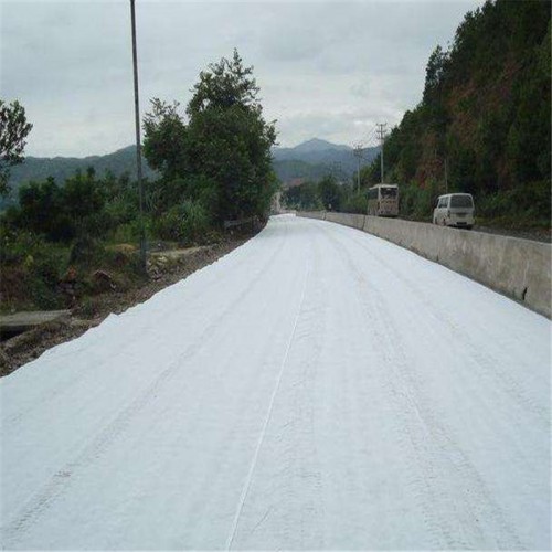 中齐丙纶无纺布 河南开封厂家欢迎订购 丙纶无纺土工布