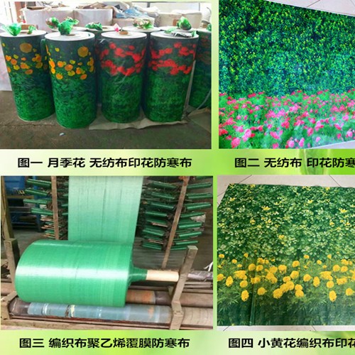 汉中市绿化无纺布生产厂家 编织布印花防寒布规格 无纺布印花防寒布批发 防寒布1-6米 绿化防寒布图7