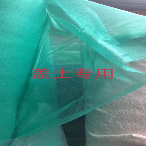 育苗草籽草坪绿化无纺布绿色裸土覆盖盖土防尘公路护坡绿网图1