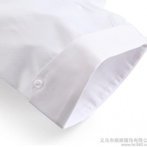 夏女短袖白衬衫职业正装半袖工装衬衣通勤修身蓝色竖条纹加大码图3