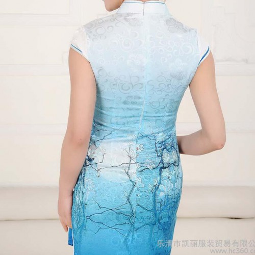 淑女夏季 中式唐装2014夏装改良时尚日常短旗袍连衣裙礼服图2
