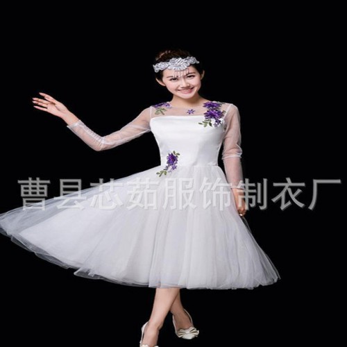 新款大合唱演出服民族服伴舞服长裙开场舞超仙礼服古典舞现代舞图3
