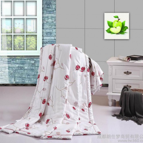 莫代尔夏凉被天丝空调被 最柔软凉爽的夏被芯 薄被南通香居坊家纺图3