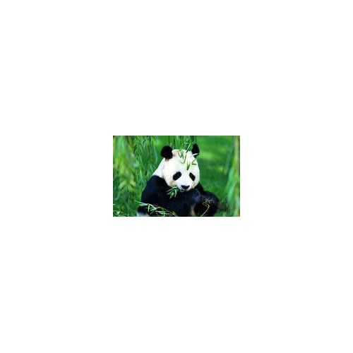 [直销]竹纤维纱线32S,功能纱线 股线/1图3