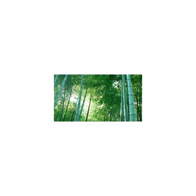 [直销]竹纤维纱线32S,功能纱线 股线/1