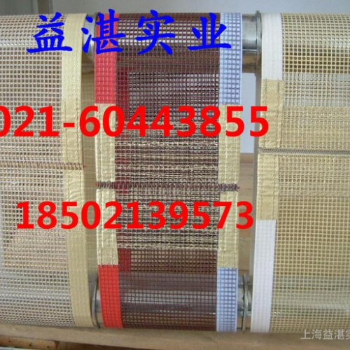 供应益湛特氟龙输送带/缩水机网格输送带图1