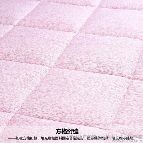 **天丝超柔莫代尔被芯保暖秋冬被子棉被双人被芯单人棉被                上海傲蕾一兰家纺.大图1