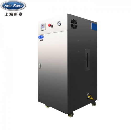 医院洗涤设备配套用高品质18KW电加热蒸汽锅炉图4