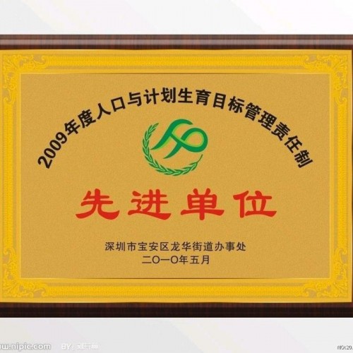 大诚广告 条幅横幅 锦旗绶带 袖章肩章  广告衫logo印制 铂金奖牌 PVC吊牌胸牌图4