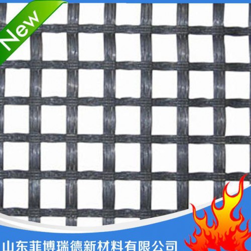 专业聚酯经编涤纶土工格栅  双向涤纶土工格栅 规格齐全图2