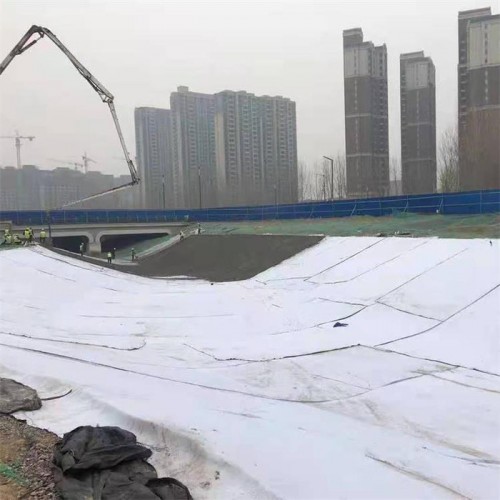 涤纶土工布 300g涤纶土工布 长期大量销售 黑色土工布图4