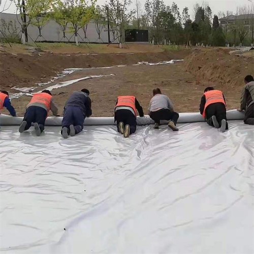 阳江涤纶土工布 300g涤纶土工布加工定制图4