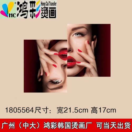 嵩明县石宁县广州中大鸿彩韩国烫画厂家当天出货烫画图案 服装烫钻烫图设计加工 DIY烫图 排图 饰品服饰加工图4