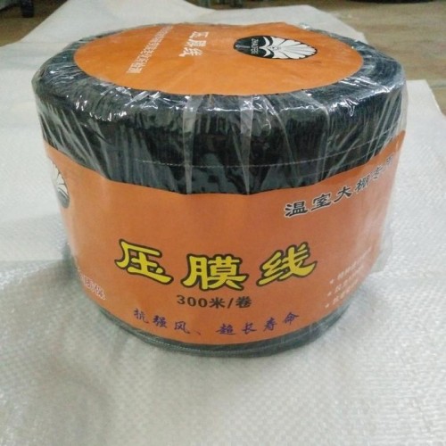 新疆压膜线 抗老化压膜线 涤纶防老化压膜绳 涤纶编织防老化压膜带 新疆涤纶扁形压膜绳 乌鲁木齐防老化涤纶压膜带图3