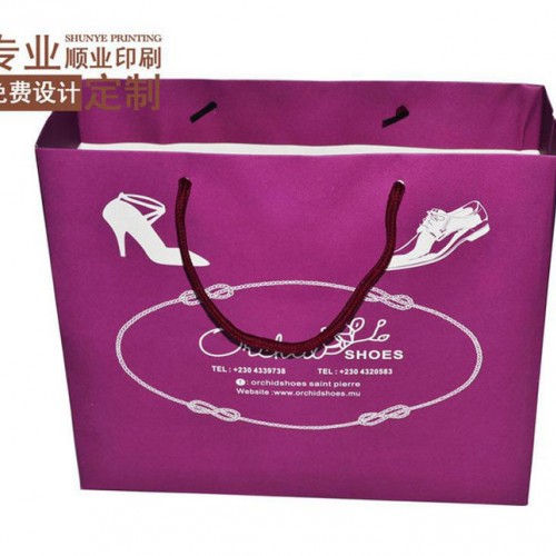 免费设计 广东手提袋订做纸袋印刷服装手挽袋定做 礼品袋订做图3