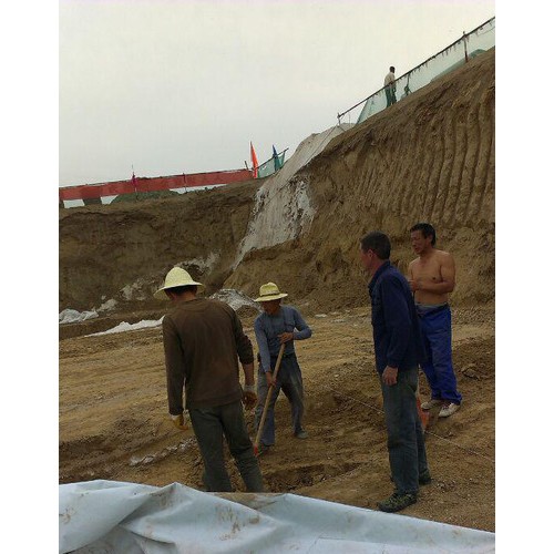 供应致辰牌300g涤纶无纺透水土工布 涤纶土工布图1