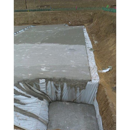 致辰牌250g 郑州专营涤纶短纤无纺土工布图2