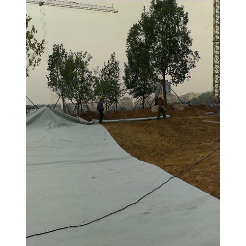 致辰牌250g 郑州专营涤纶短纤无纺土工布图1
