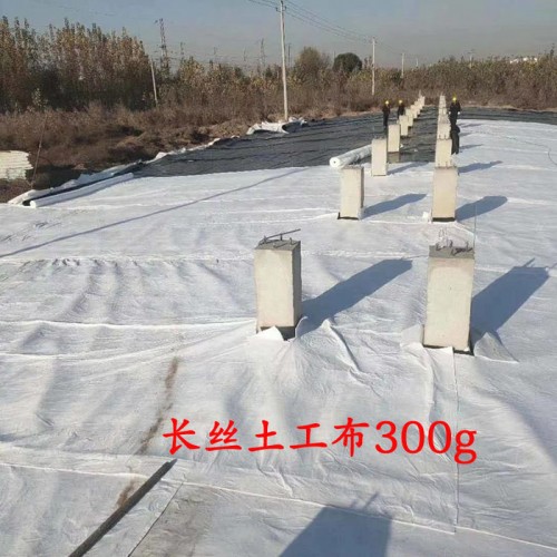 森泰涤纶长丝土工布  涤纶长丝土工布 HDPE土工布  源头商家图4