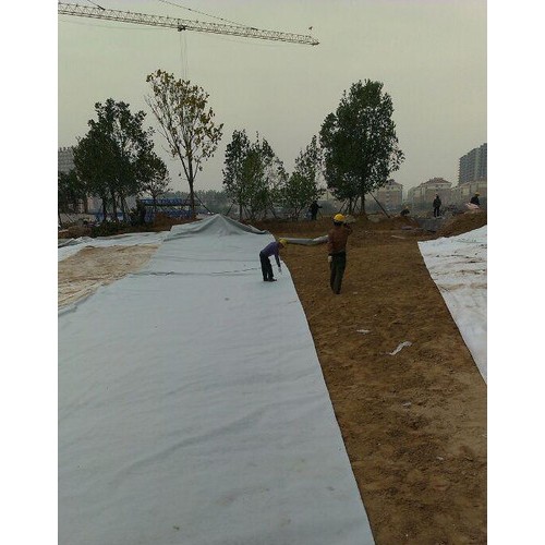 致辰牌2mm 涤纶短纤无纺土工布图8