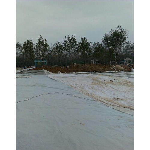 规格涤纶无纺土工布图2