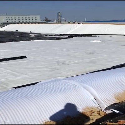 涤纶短纤复合土工布 短纤针刺土工布