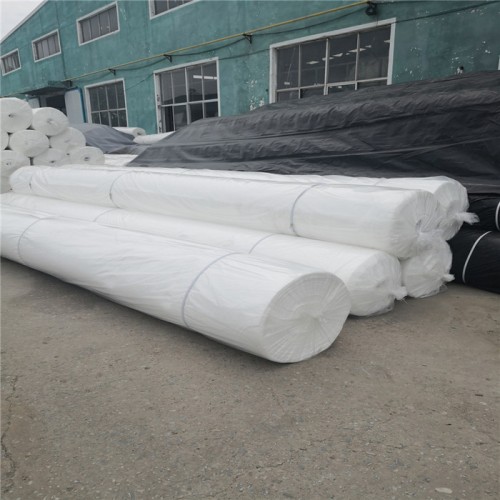 涤纶土工布 黑色土工布 养护土工布 可定制 润泽图7