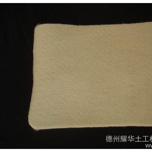 大同涤纶土工布 300g土工织物价格图3