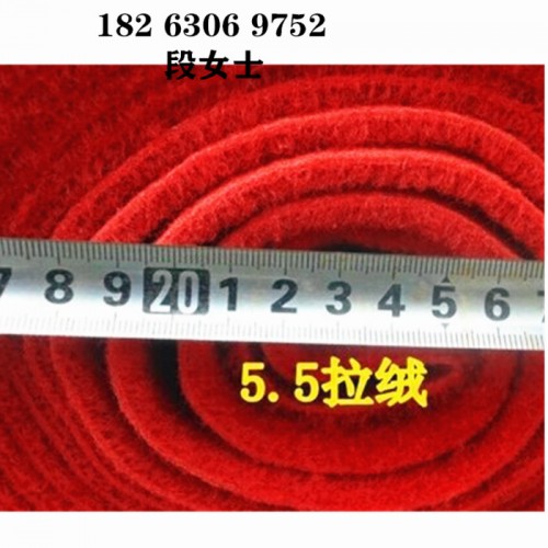 定制无纺布加厚拉绒地毯   拉绒提花地毯      涤纶纤维地毯图3