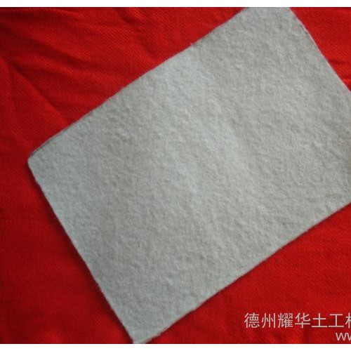 涤纶土工布 无纺300g土工织物环保防渗图3