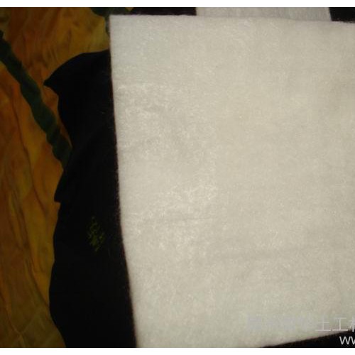 涤纶土工布 无纺300g土工织物环保防渗图7