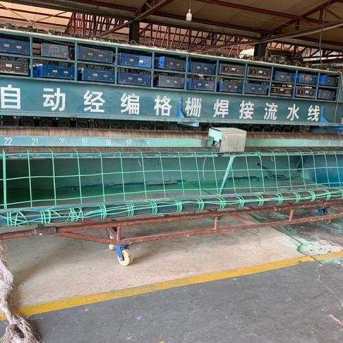 土工格栅 焊接复合土工格栅 涤纶经编土工格栅图4