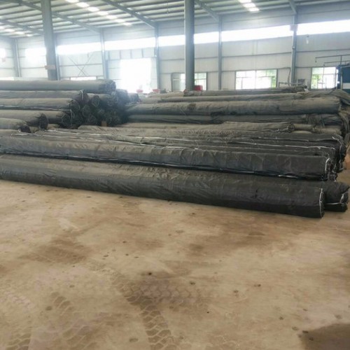 致辰高强度涤纶土工格栅  环保建筑软土地基加固用土工格栅图7