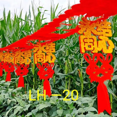 供应针刺涤纶无纺布灯笼 激光刻花毛毡 定做毛毡包 彩色无纺布 杯垫 餐垫 工业毛毡 针刺无纺布图8