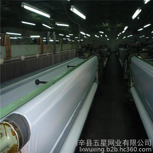 供应涤纶网布 制版网纱 便宜网布 国产网纱 高张力网纱 服装印花专用网纱图6