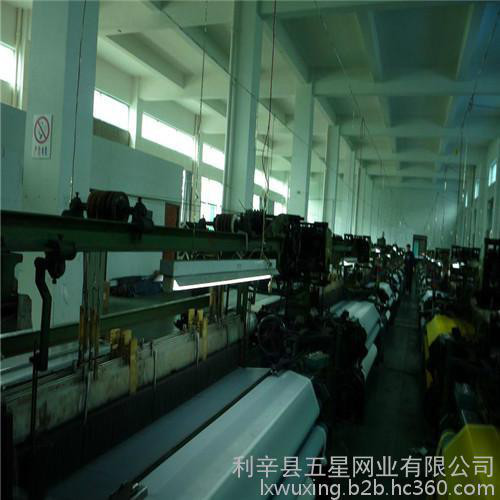 供应**涤纶网纱、丝网黄色280目 便宜网纱 国产网纱 **进口网纱 服装印花专用网纱图8