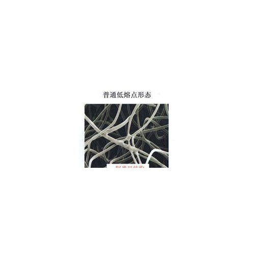 专业生产 高品质 中空低熔点涤纶短纤图1