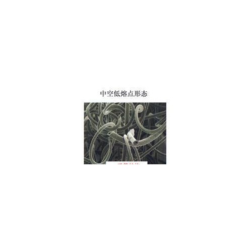 专业生产 高品质 中空低熔点涤纶短纤图3