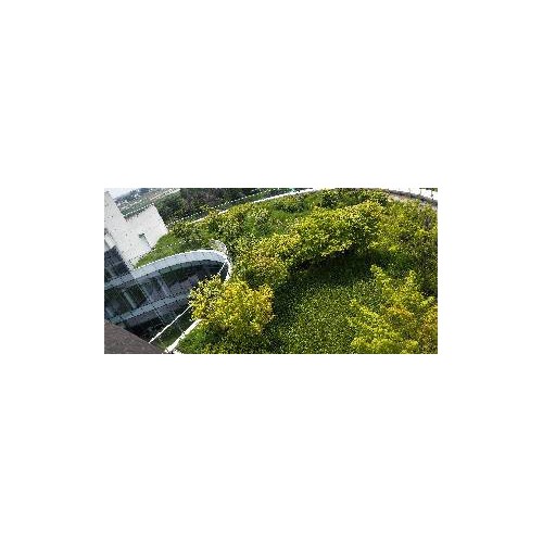 三夫 涤纶工业丝图2
