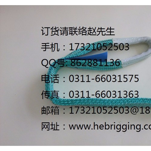 挪威PPU索具 UL01涤纶吊装带 合成纤维吊装带 环眼涤纶吊装带 涤纶柔性吊装带图2