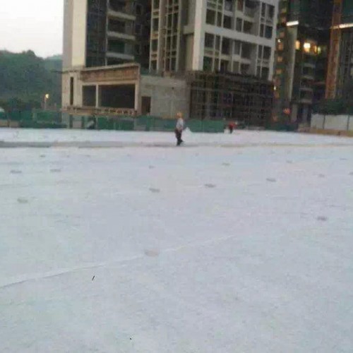 广州杰袖100g/m2湖南涤纶土工布 报价/规格图5